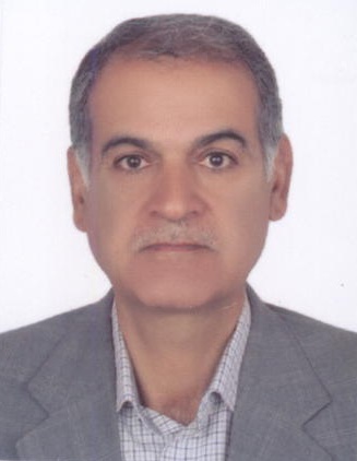 Hadi Mansoorimoghaddam