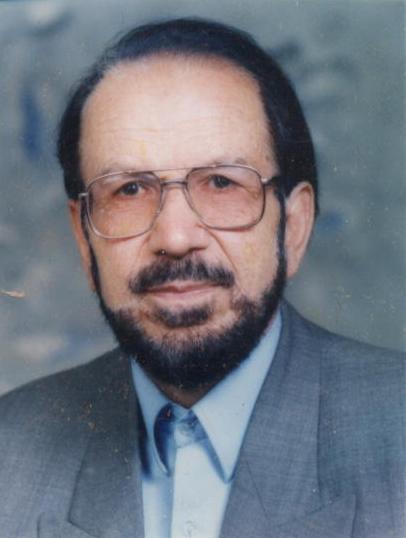 سید حسین میردامادی